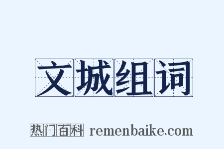 文城组词是什么意思的图片